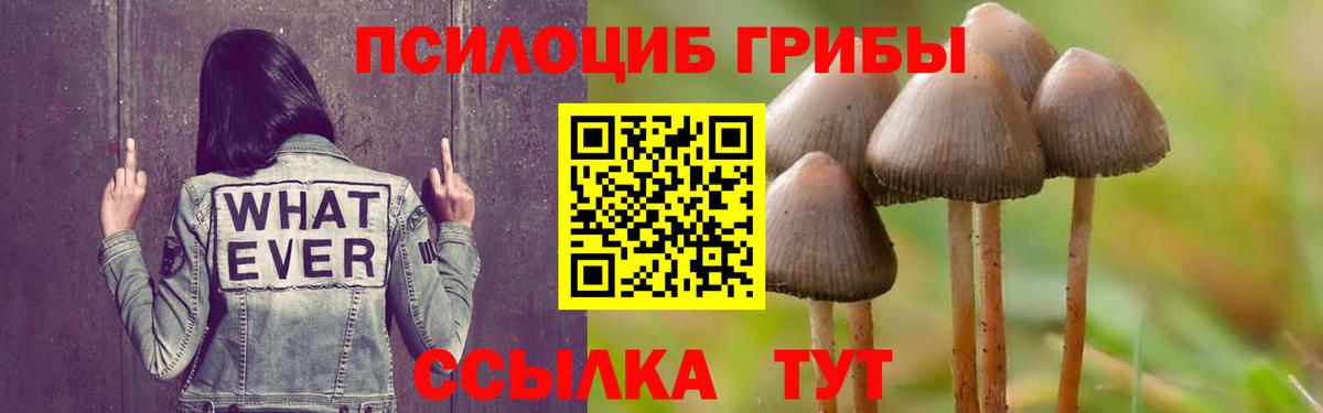 Псилоцибиновые грибы MAGIC MUSHROOMS  даркнет сайт  Галлюциногенные грибы ЛСД  Котельники  Вход с VPN 